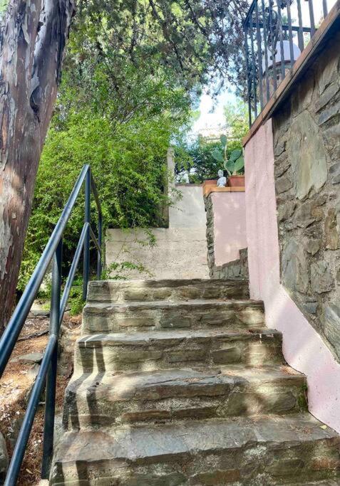 Charmante Maison En Plein Coeur De Collioure Villa Dış mekan fotoğraf